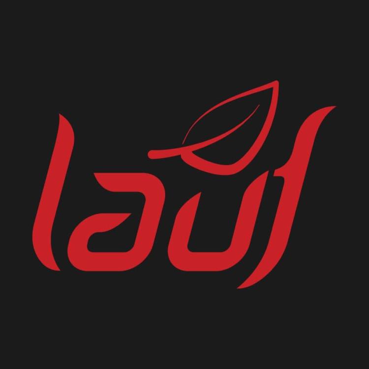 Lauf Cycles is an event sponsor for The Day Across Minnesota bike race